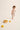 #color_ivory