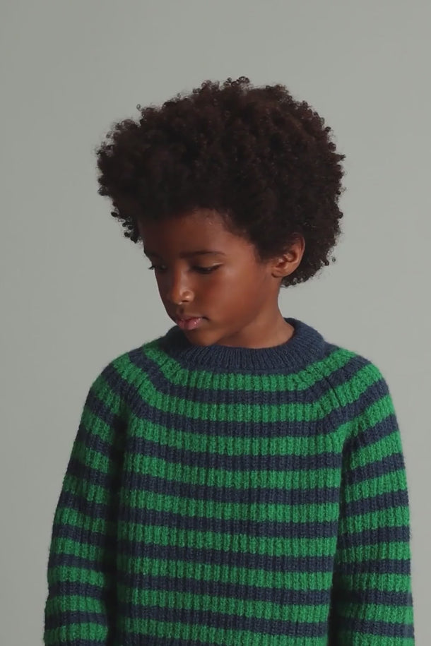 #color_navy-green